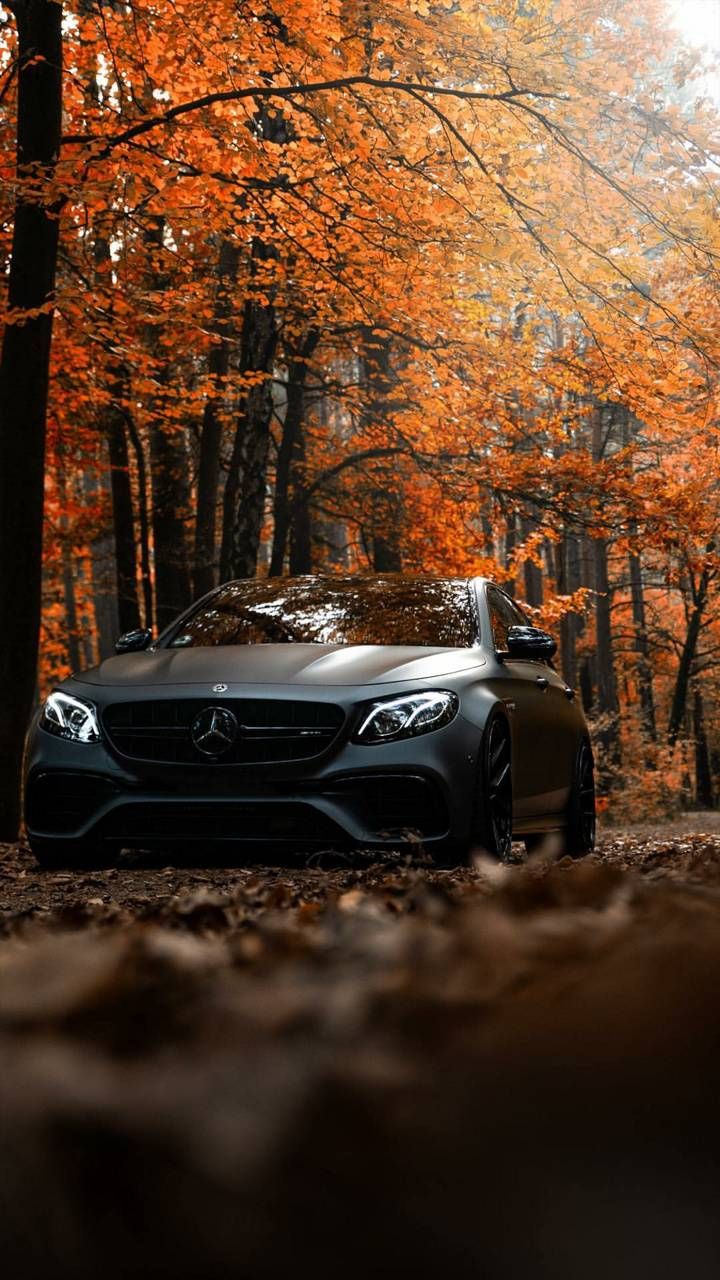 Mercedes_cars_HD